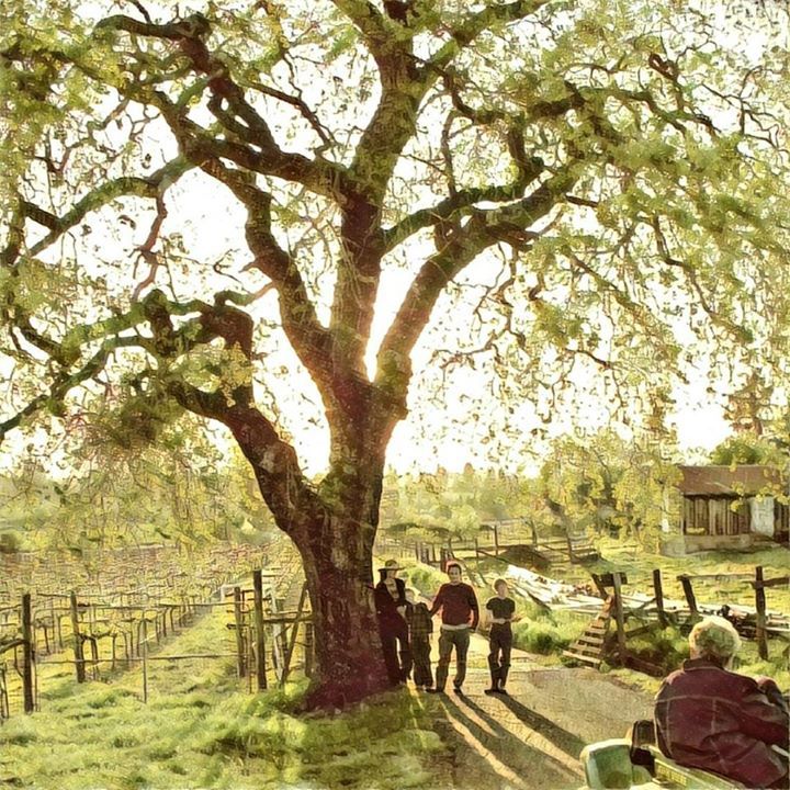 Ancient Oak