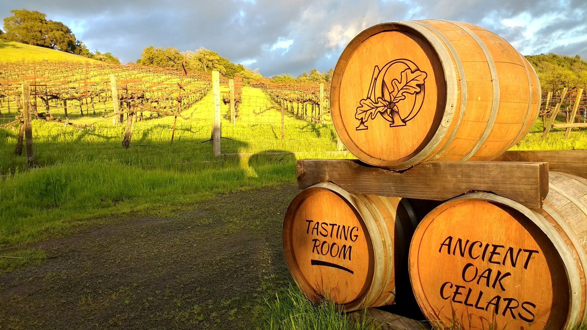 wine barrels