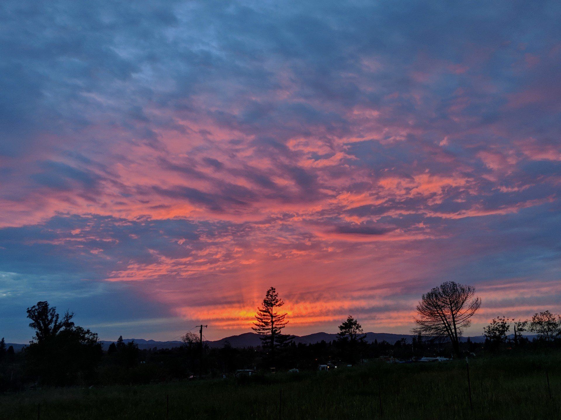 sunset seen from Ancient Oak Cellars' Siebert Ranch, in the Russian River Valley of Sonoma County