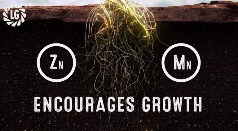 a poster that says encourages growth on it