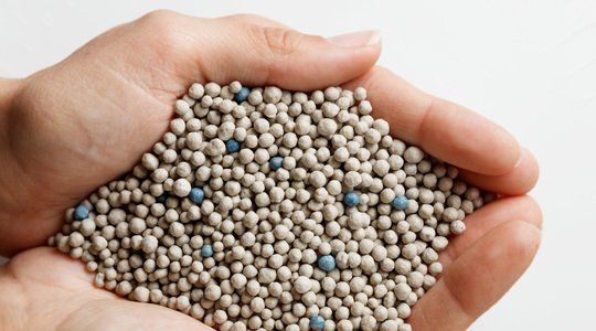 a person is holding a pile of cat litter in their hands .