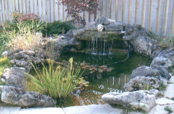 A pond with a waterfall in the middle of it surrounded by rocks and plants.