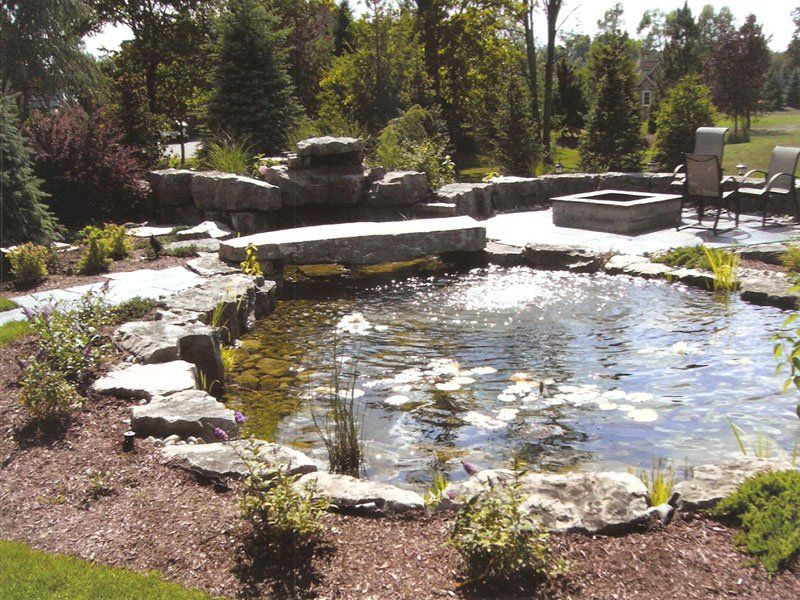 A pond in a garden with a fire pit in the background