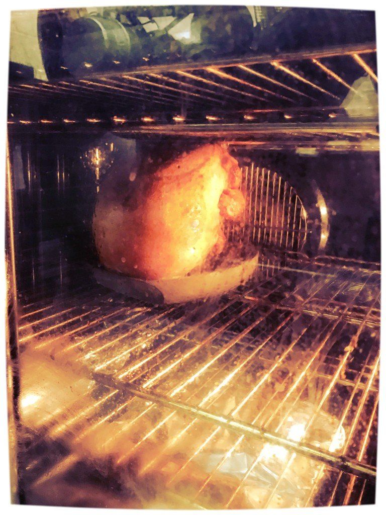 grilled chicken