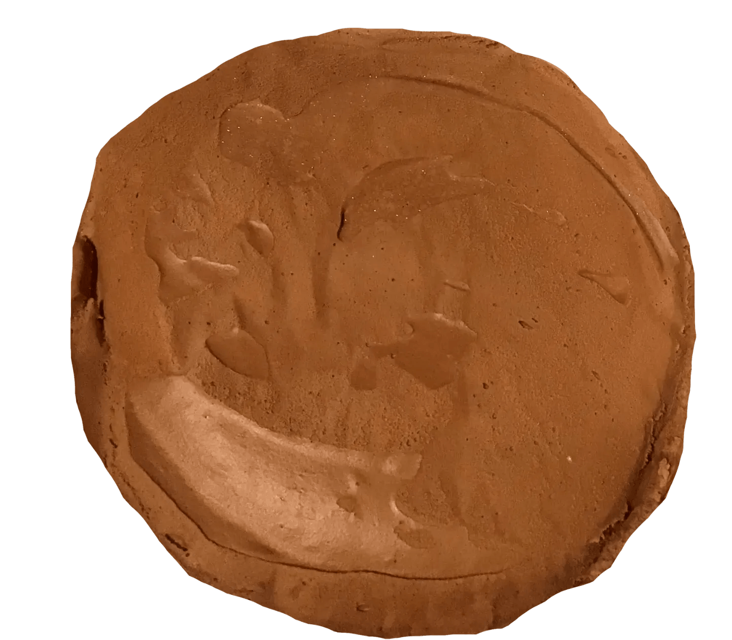 Chocolate Ice Cream