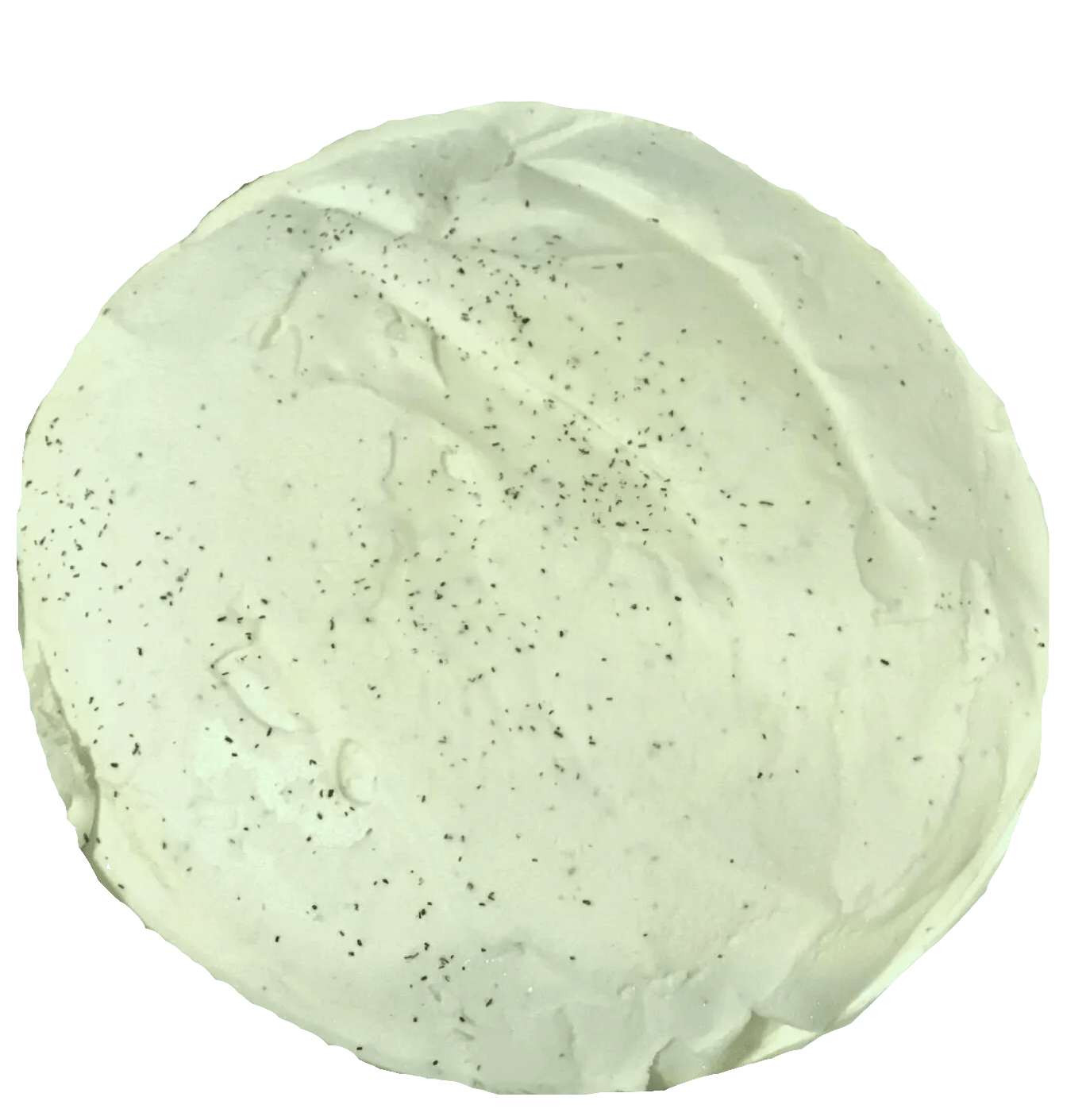 Vanilla Bean Ice Cream
