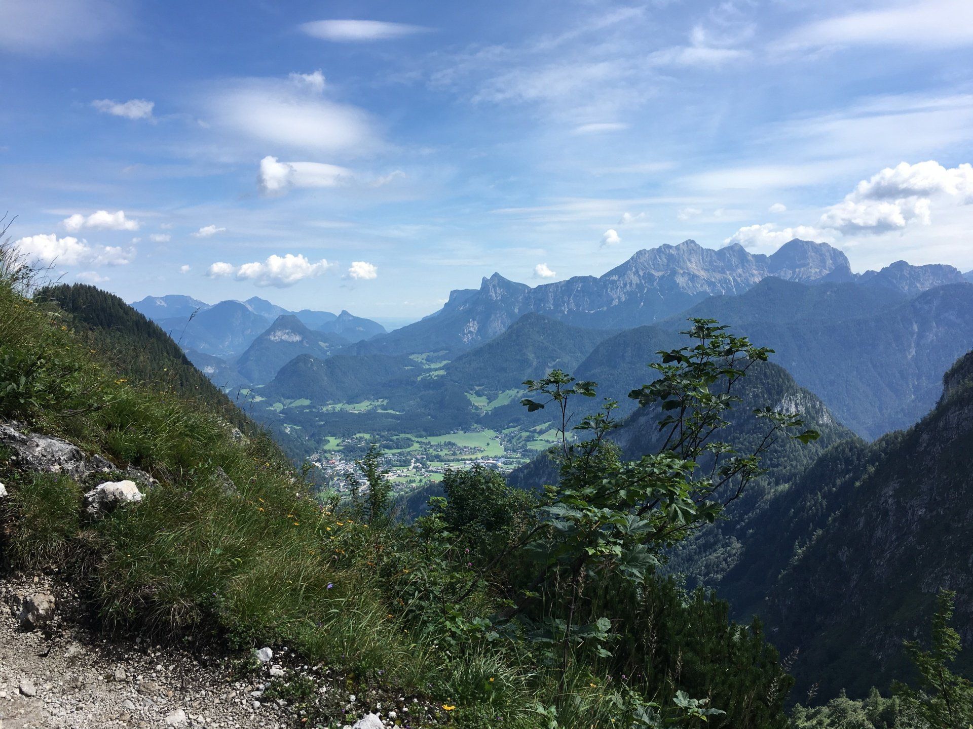 Berglandschaft mit blauen Gipfeln, grünen bewaldeten Hängen und einem hellen, bewölkten Himmel