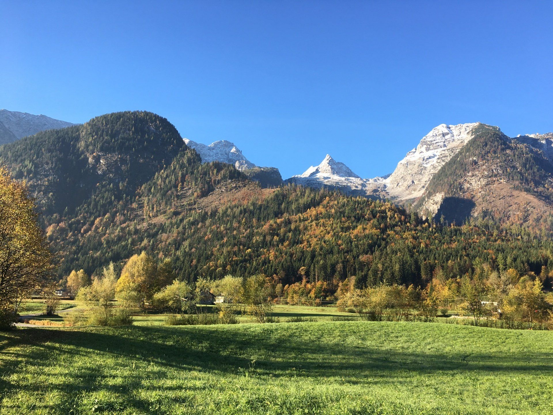 Sonnenbeschienene Bergkette über Herbstwald und grüner Wiese unter klarem, blauem Himmel
