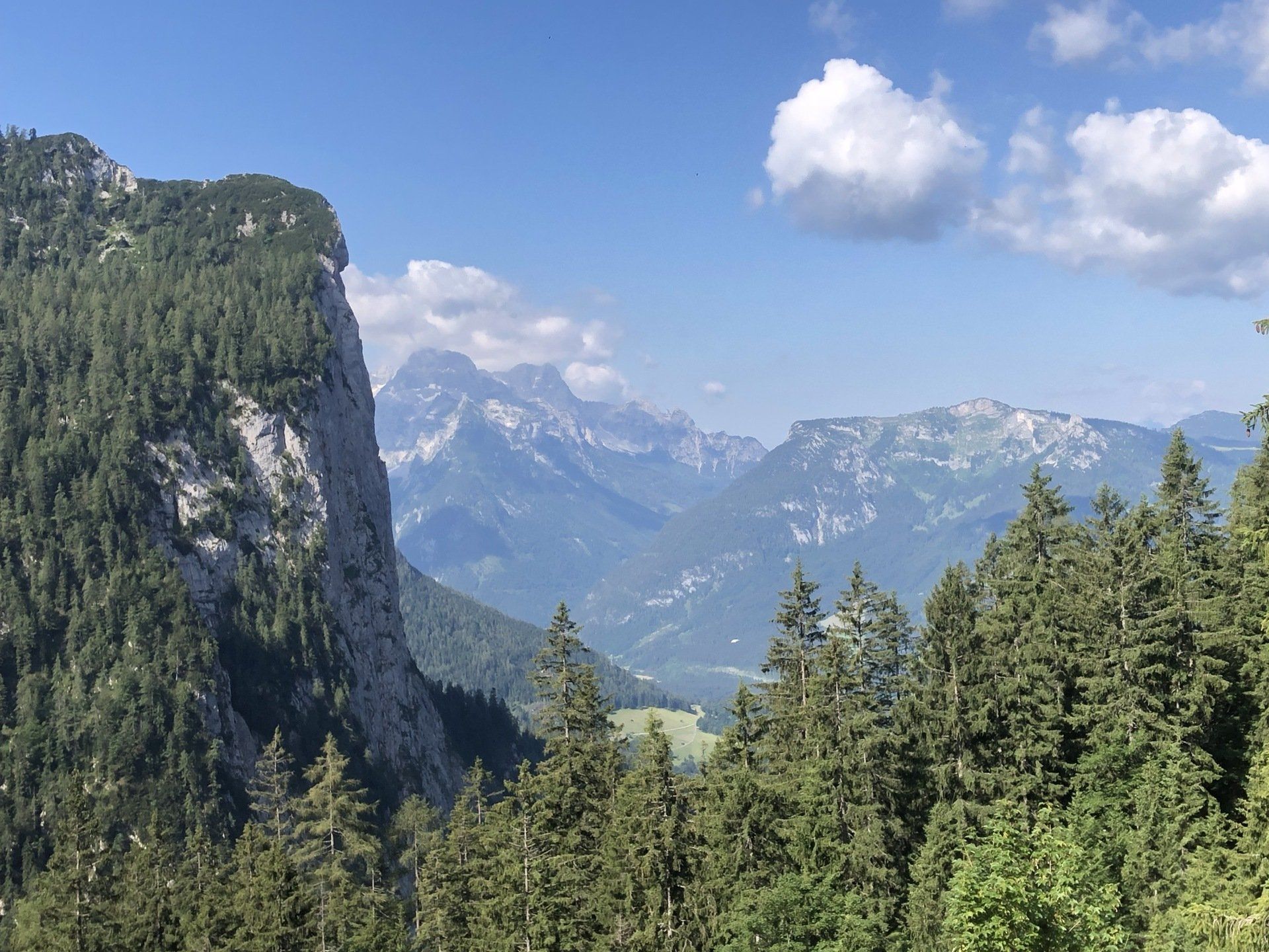 Blick auf ein Bergtal mit immergrünem Wald, Felswänden und fernen, schneebedeckten Gipfeln unter blauem Himmel.