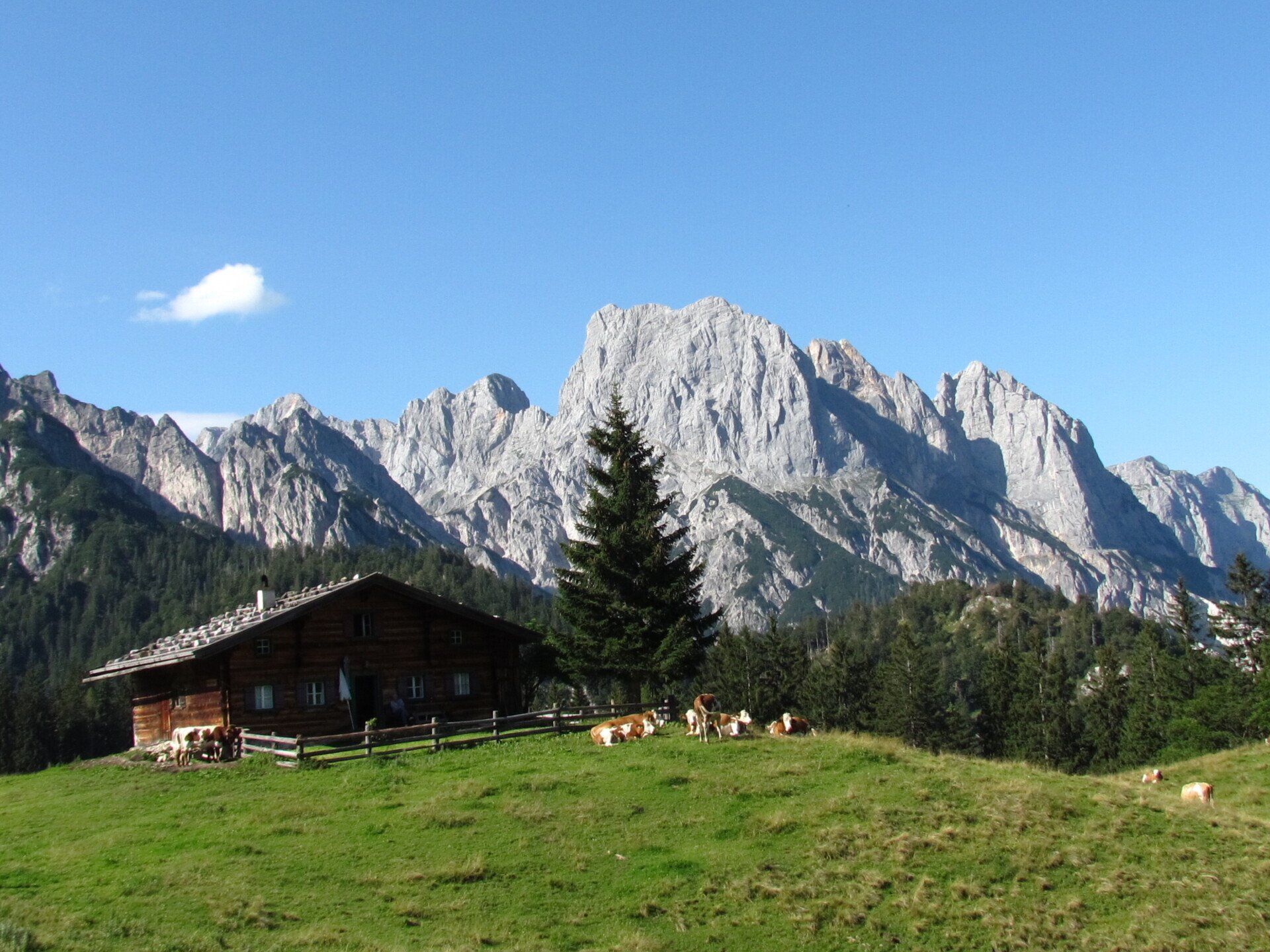 Bergchalet auf einer grünen Wiese unterhalb felsiger Alpengipfel unter blauem Himmel.