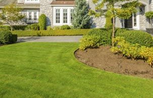 Clean landscape — landscaping service in Yorktown, VA