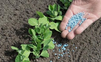 Chemical application in landscape — landscaping service in Yorktown, VA Chemical application in landscape — landscaping service in Yorktown, VA