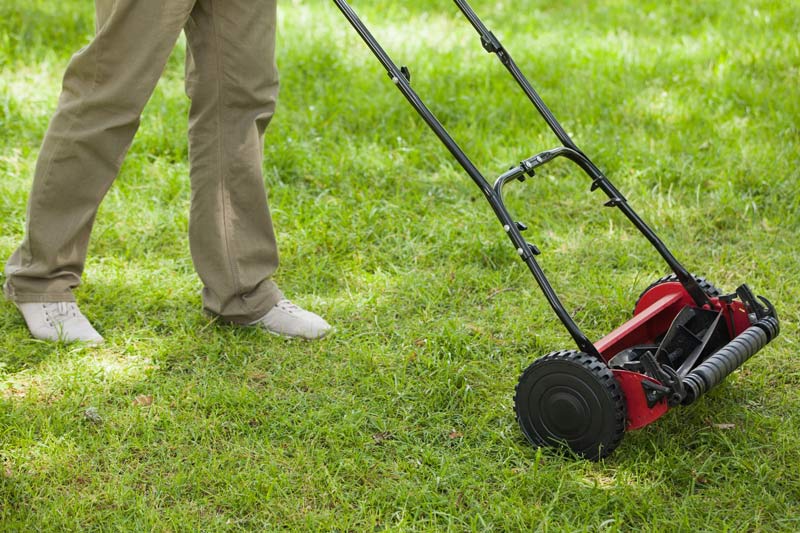 reel mowers