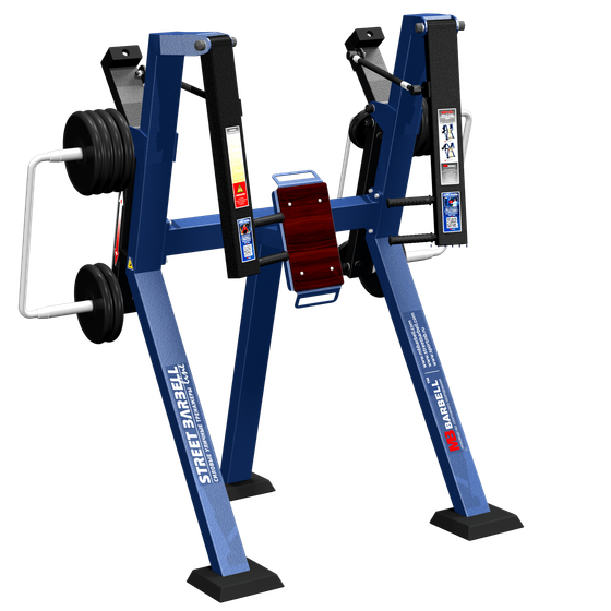 Crosstrainer AMT® 885