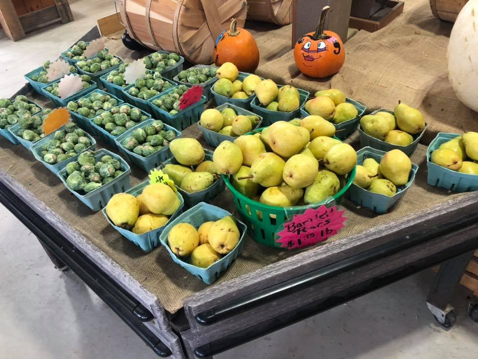 Klingel's Farm, pears