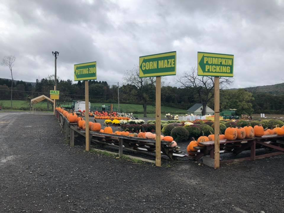 Klingel's Farm, corn maze, pumpkin patch