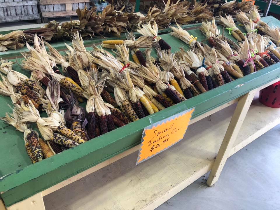 Klingel's Farm, Indian corn