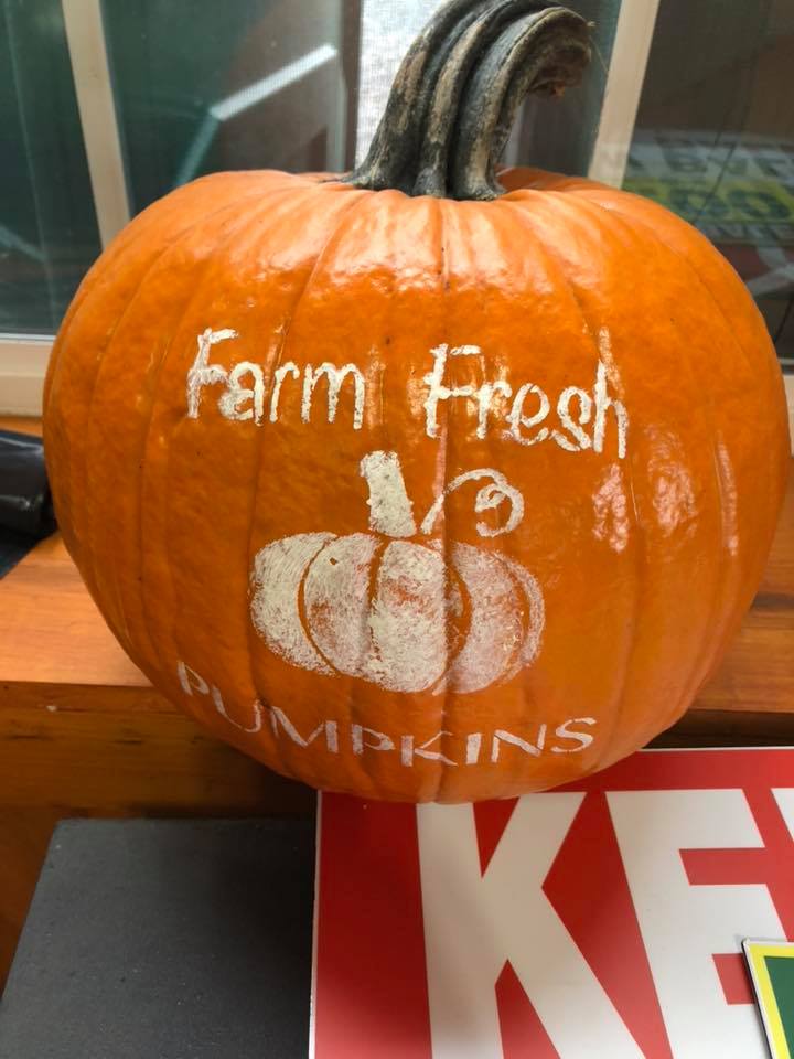 Klingel's Farm, farm fresh pumpkins