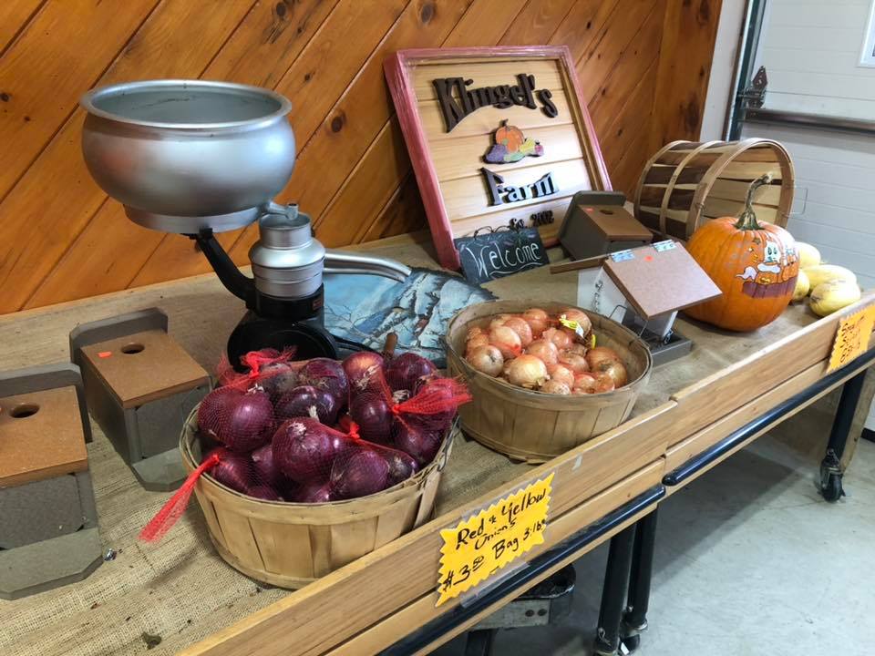 Klingel's Farm, onions