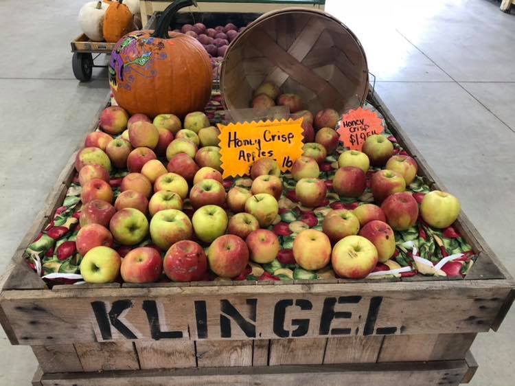 Klingel's Farm, apples