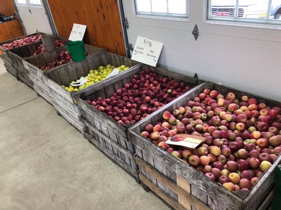 Klingel's Farm, apples