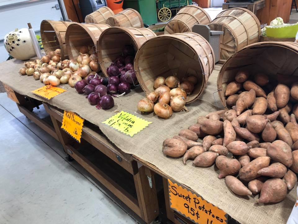 Klingel's Farm, onions