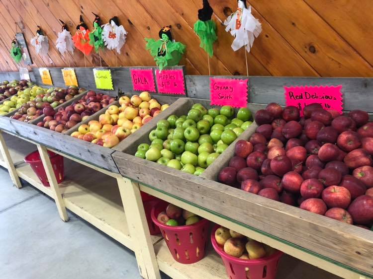 Klingel's Farm, apples