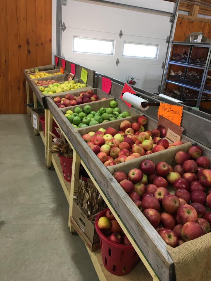 Klingel's Farm, apples