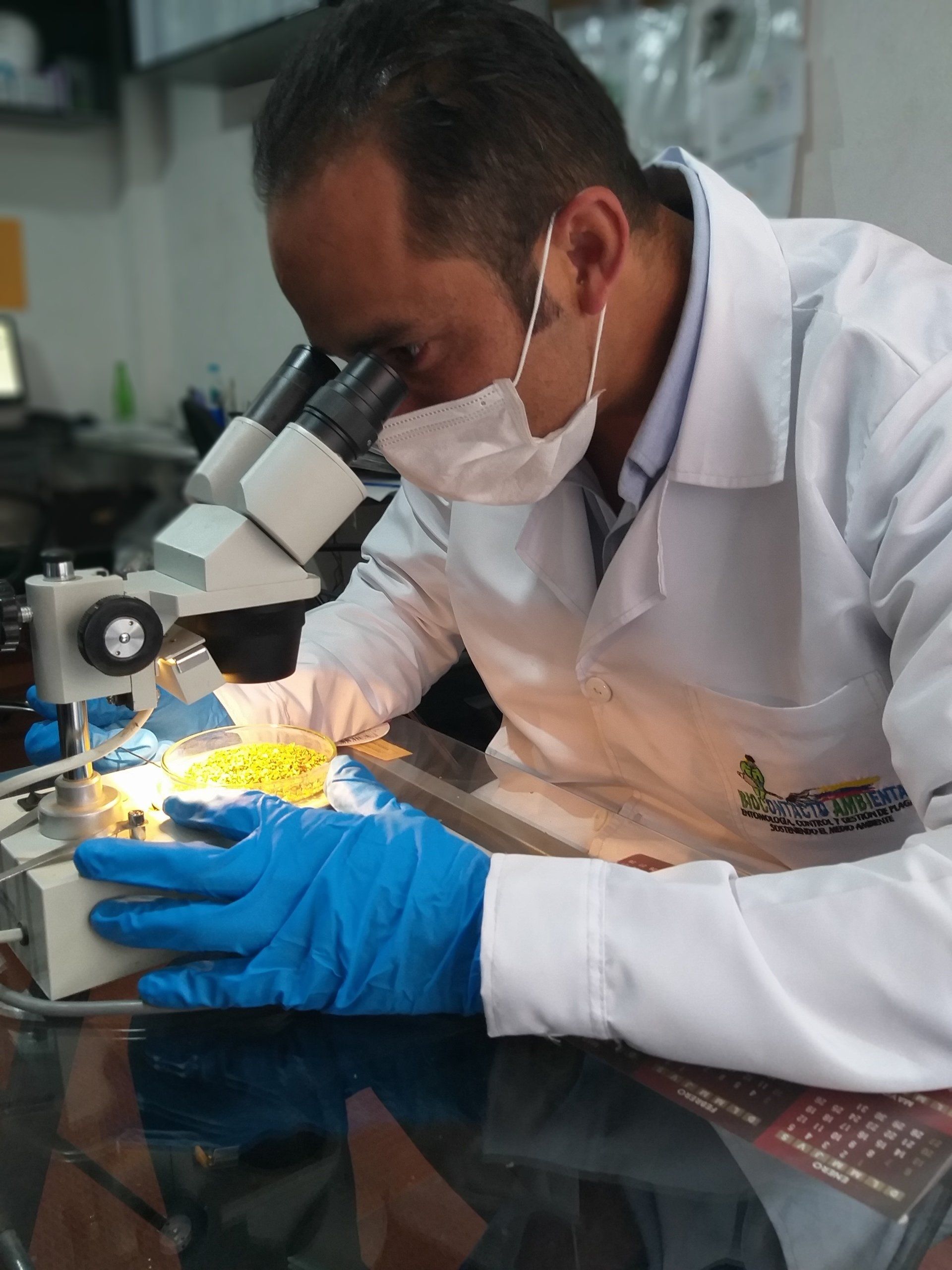 Biocontacto- Estudies de Especies