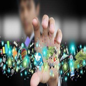 7wellness
