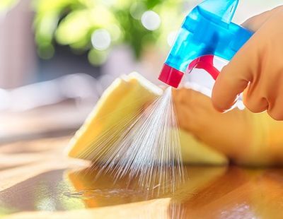 Cleaning with Spray Detergent — Jacksonvile, NC — Carolina Clean Care Cleaning with Spray Detergent — Jacksonvile, NC — Carolina Clean Care