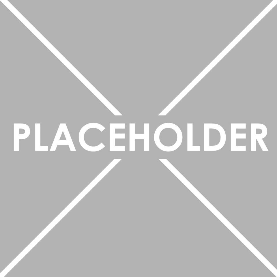 Gray placeholder image with white diagonal X lines and the word
