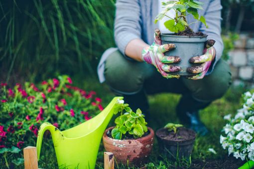 Lavori di Giardinaggio - Martino Multiservizi