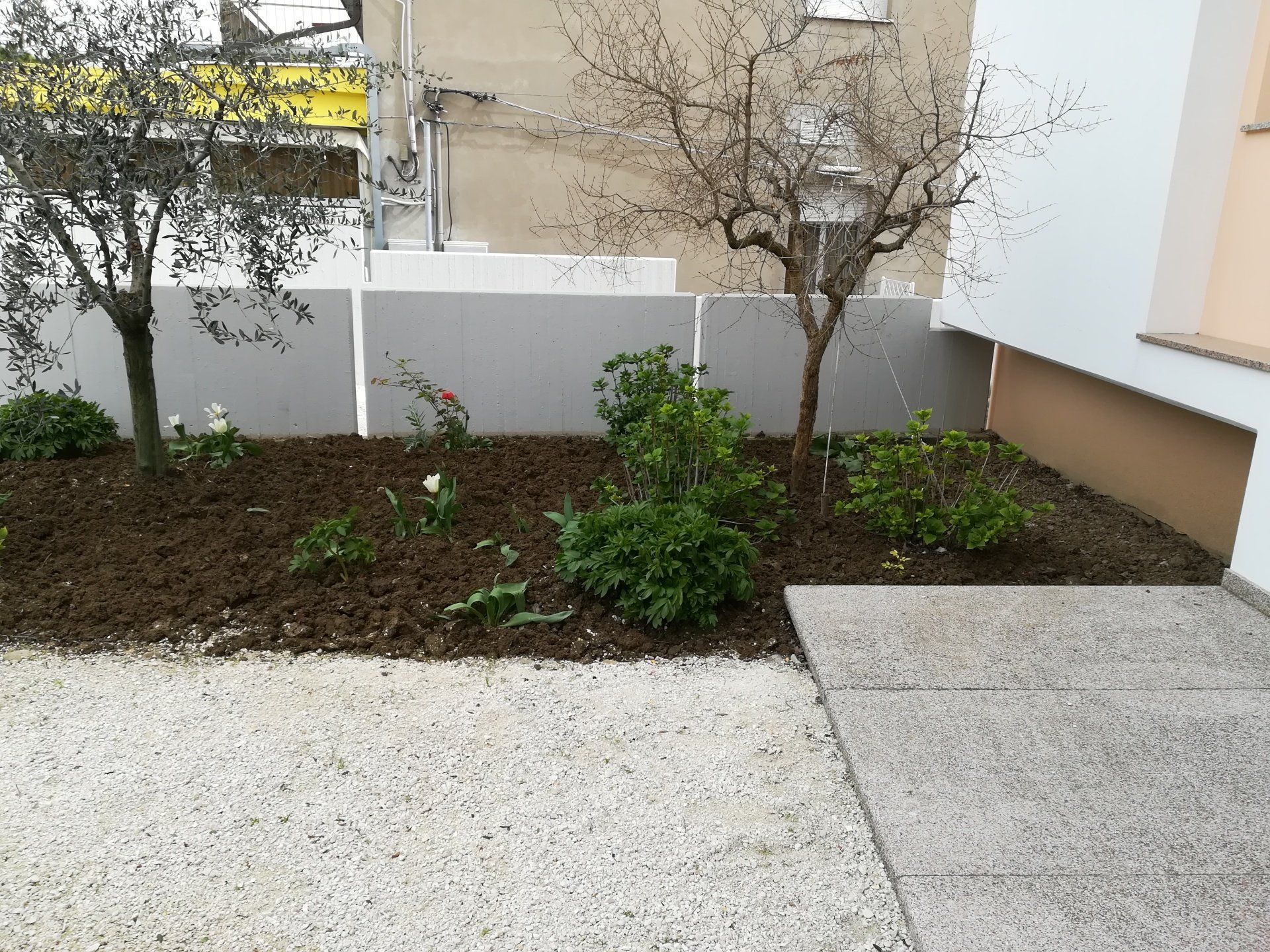 Manutenzione giardini costi: Martino multiservizi