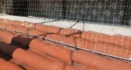 Impresa di pulizie rimini: Martino lo spazzacamino