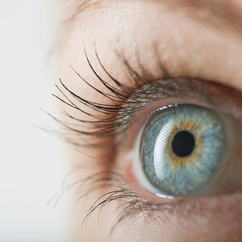 eye Cataract Surgeon