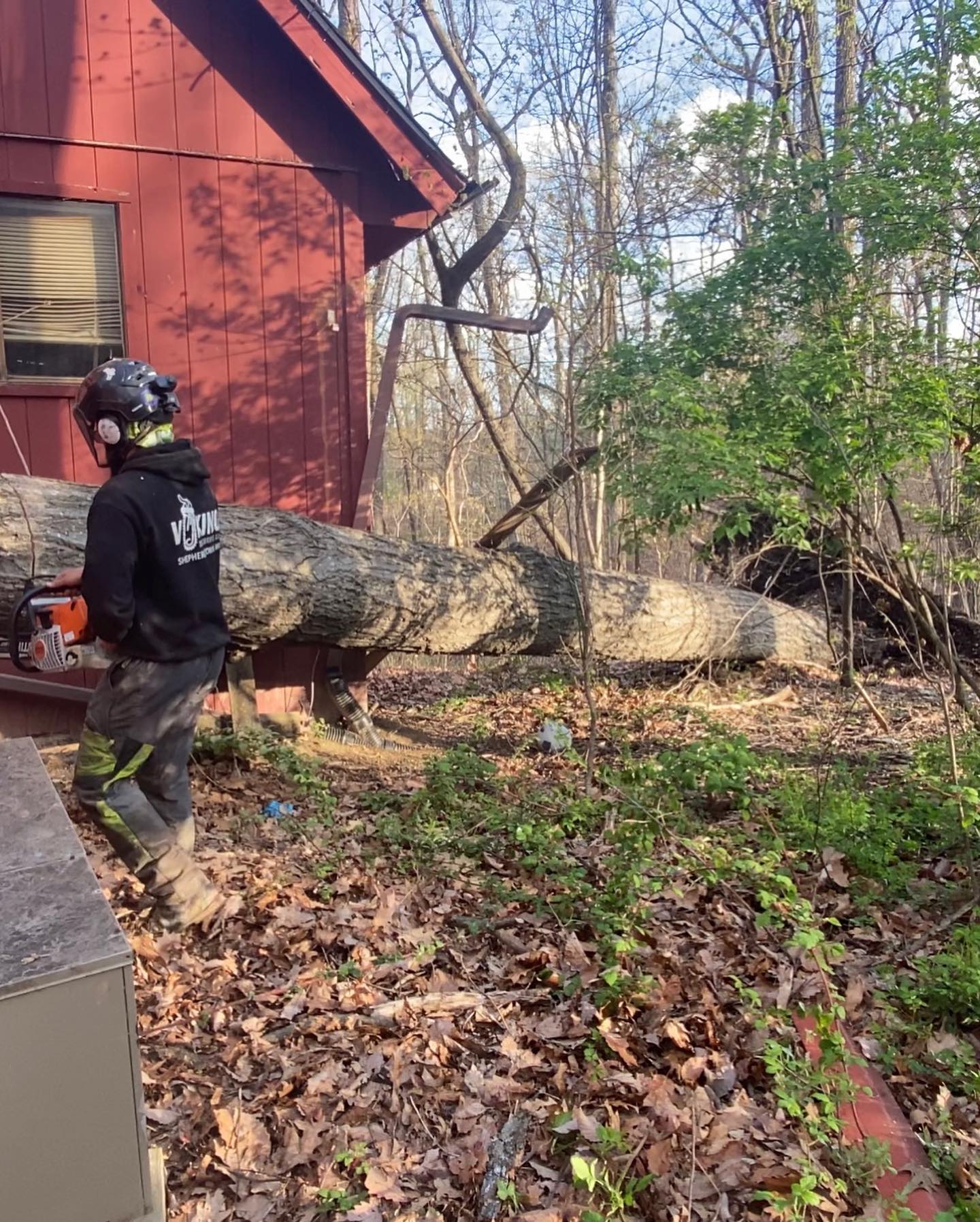 tree care worker moving storm damaged tree trunk
