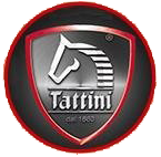 Icona-TATTINI