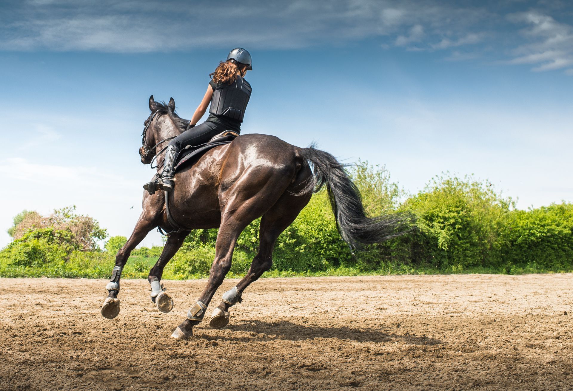 redini per equitazione