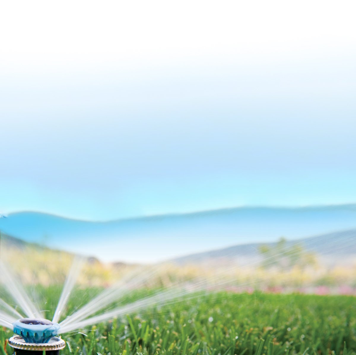 Sprinkler Installation