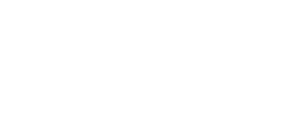 AANEB Logo