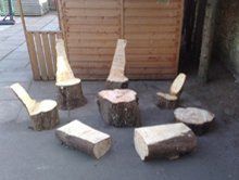 seating arrangement made from cut down trees