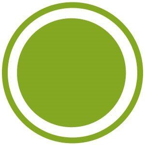 Green circle within a white-lined green circle.