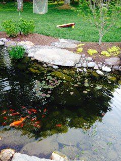 Koi Pond - Landscaping in Dulles, VA