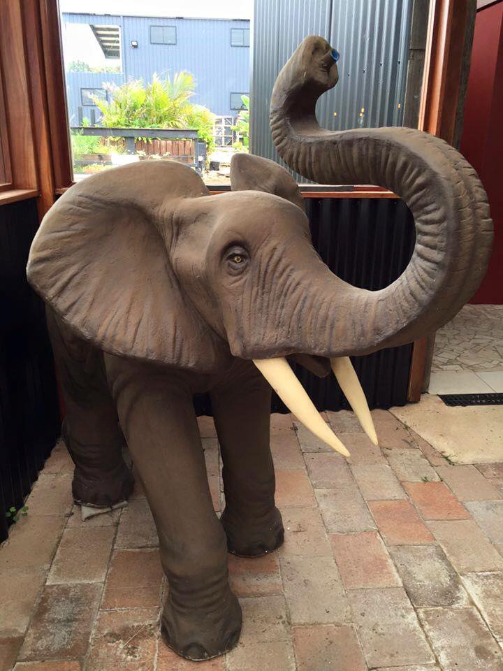 Elephant
