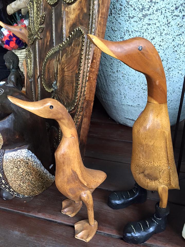 Ducks
