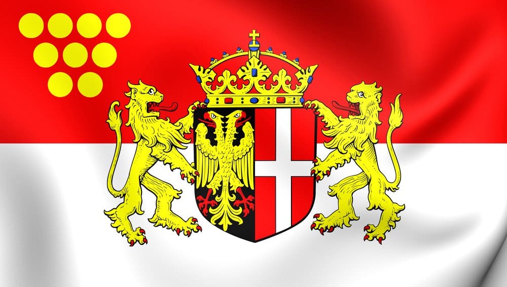 Eine Flagge mit zwei Löwen und einem Kreuz darauf