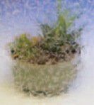 Glue Chip Glass