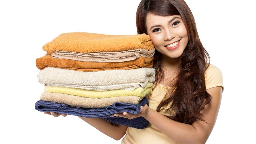 Domestic Assistance