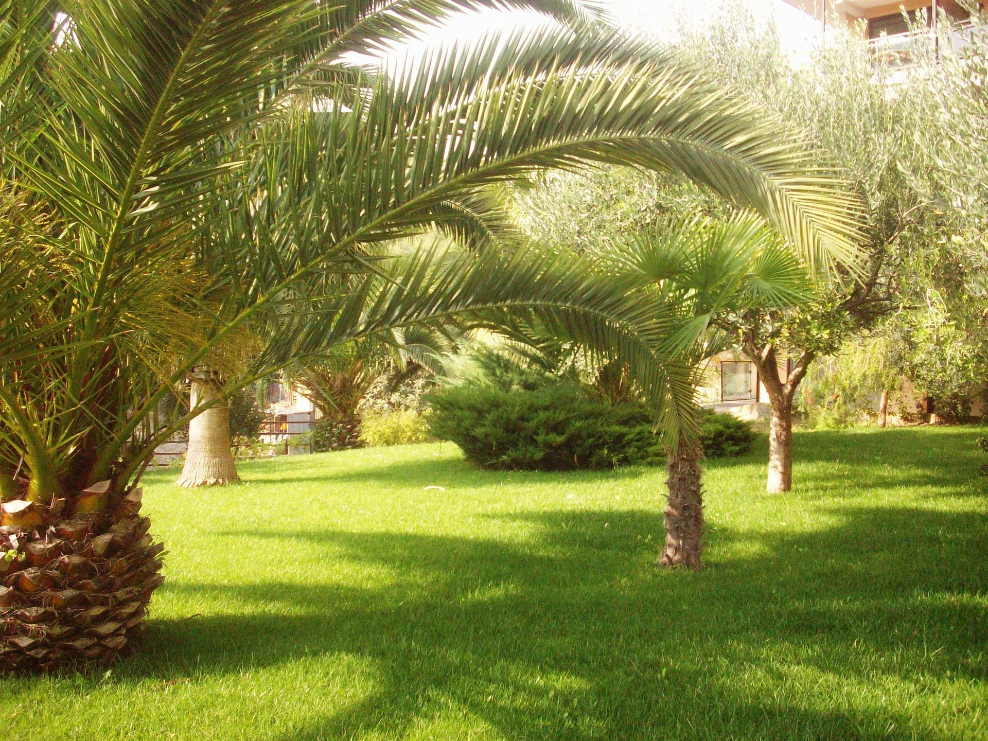 pulizia giardini